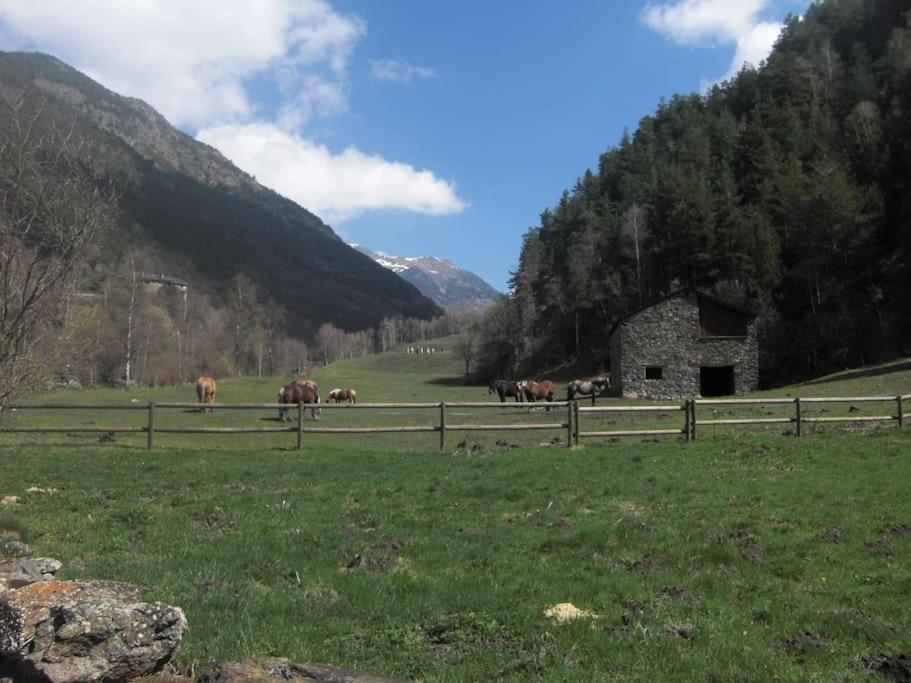 Apartament Gran Pirineu Montferrer Luaran gambar